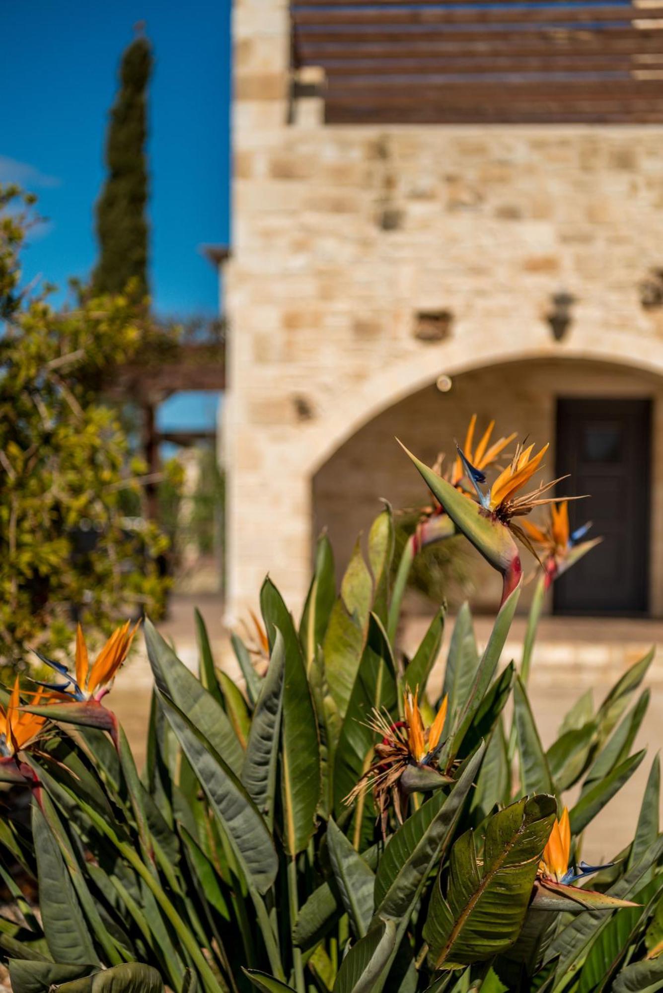 Villa Gloria Seaview - Luxury & Family Kokkino Chorio Exteriér fotografie